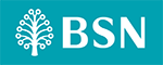 BSN New Logo 2015 - PANTONE 320 C