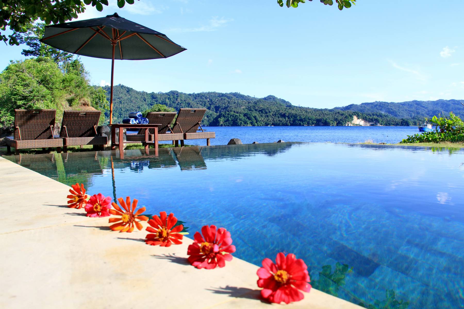 Cocotinos Lembeh A Boutique Dive Lodge In Bitung Book A - 