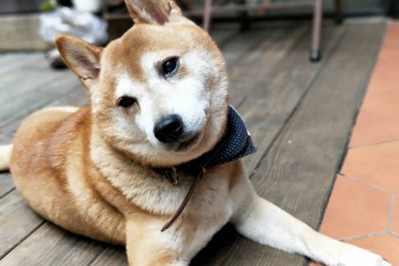 二郎