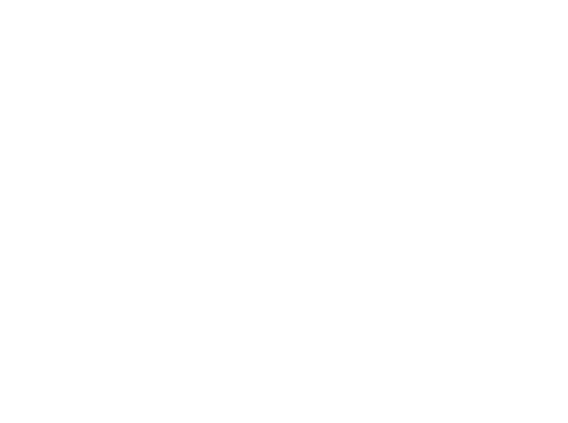 Lone Pine Hotel